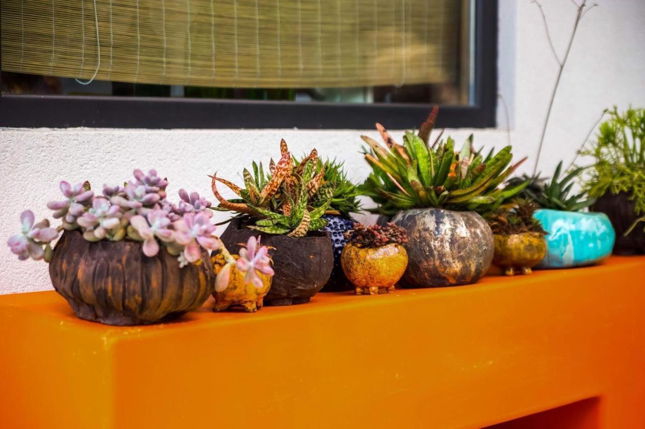 Villa Orange, Small House In A Pine Forest กอสเตรนา ภายนอก รูปภาพ